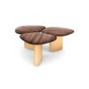 Steller Coffee Table - FLUMEN