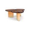 Steller Coffee Table - FLUMEN