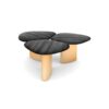 Steller Coffee Table - FLUMEN