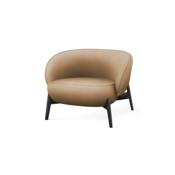 Diehli Lounge Chair - FLUMEN