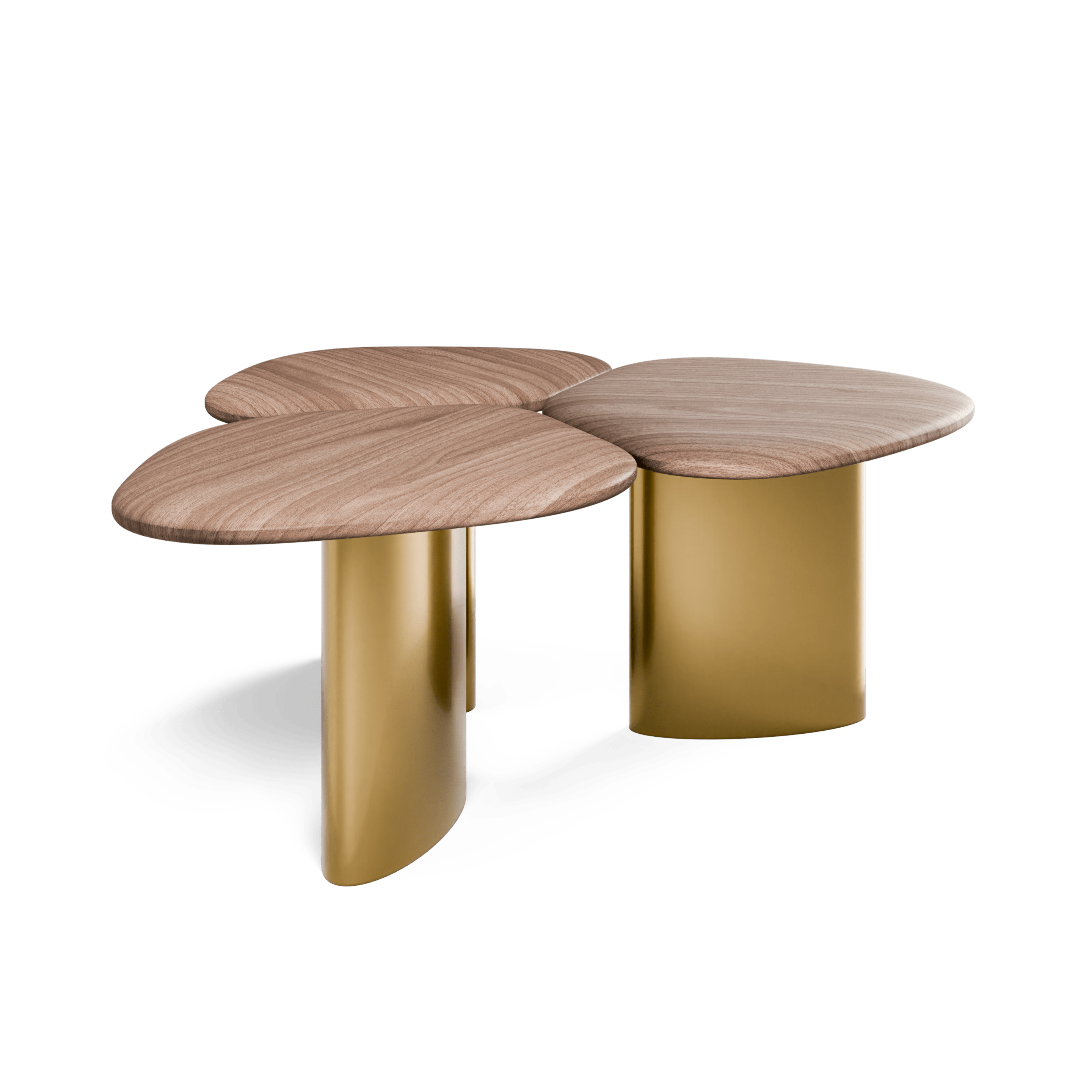 Steller Coffee Table